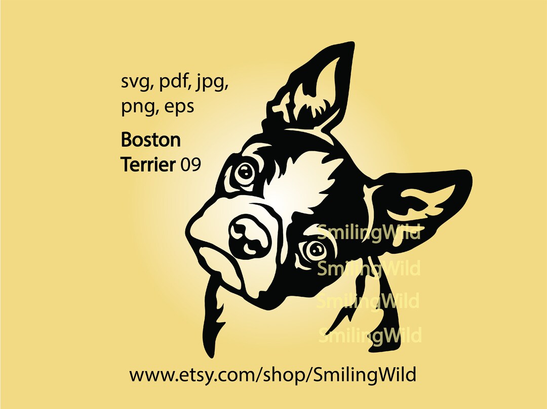 Boston Terrier Svg Dog Head Tilt Portrait Boston Terrier Vector Graphic