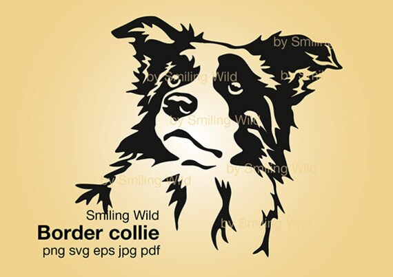 Download Border collie portrait dog svg clipart Border collie art ...