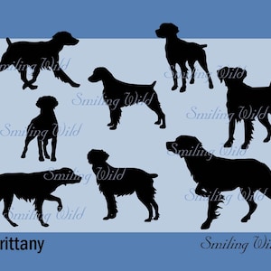 Silhouette chien Bretagne svg épagneul breton clipart imprimable couper fichier couper oeuvre art numérique conception png