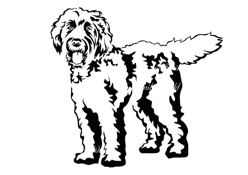 Download Hond png Labradoodle svg vector grafische kunst labradoodle | Etsy