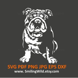 Clipart realistico di bulldog inglese bianco in formato SVG, PNG e DXF - Grafica vettoriale di un cane carino - Fai da te, Cricut, Glowforge, Silhouette, Laser