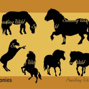 pony silhouette ponies svg & png clipart cutout vector graphic file pony printable commercial use instant download realistic digital horse