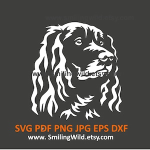 Duitse spaniël SVG PNG DXF hoofd portret – realistische jachthond Canine clipart voor Cricut, silhouet en lasergesneden – directe download