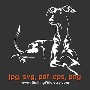 Galgo svg Porträt weiße Vektorgrafik-Schnittdatei, Galgo-Hund-Clip-Kunst-Illustration schneidbares digitales Design