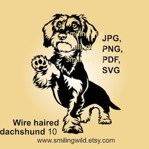 Ruwharige teckel svg Graveerbare clip art vector grafisch ontwerp