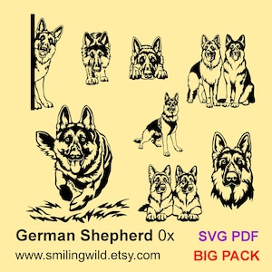 Fichiers vectoriels clipart berger allemand BIG Bundle SVG PDF - portrait de chien, couple, tête et corps entier - Cricut, découpe laser