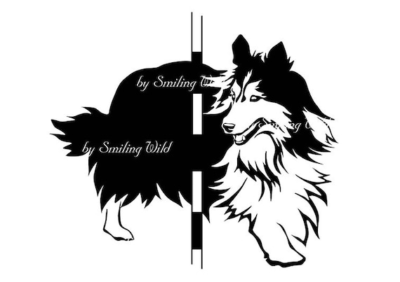 シェルティ　シルエット　確認用 シェルティ シルエット 確認用