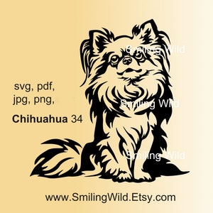 Sitting Long haired chihuahua dog svg cuttable file, chihuahua vector graphic design, dog clip art