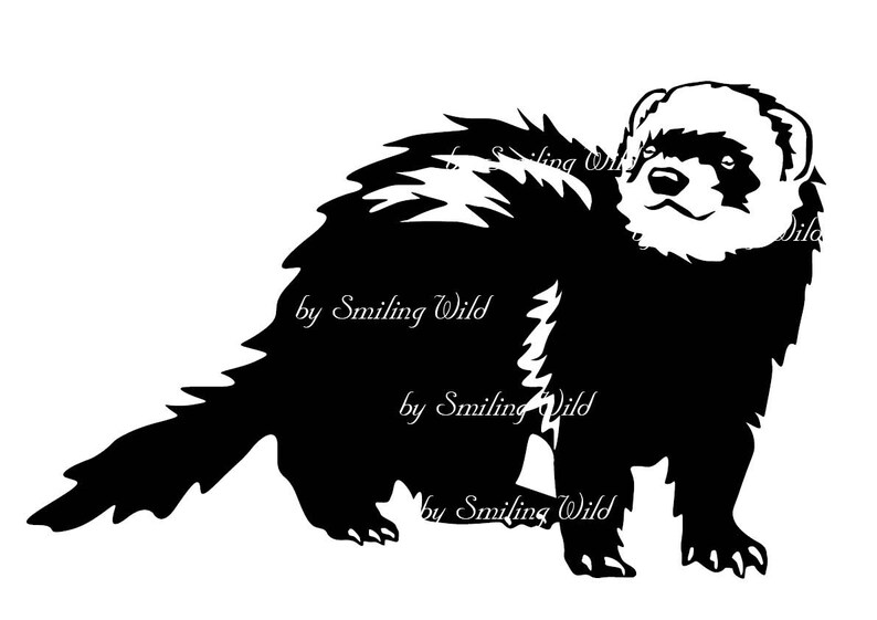 Ferret Svg Clipart Vector Graphic Art European Polecat Etsy