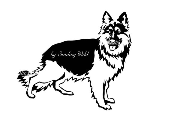 Long coat white german shepherd top