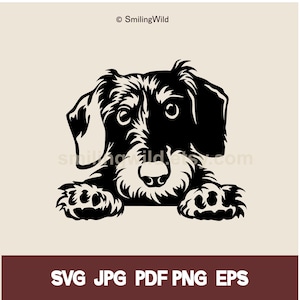 Ruwharige teckel SVG PNG PDF CutFile - Peeking Dog Vector Clipart