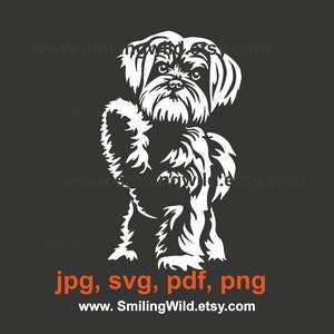 Maltese svg dog clip art, maltese vector art cut in white print on black, maltese cricut cuttable digital design