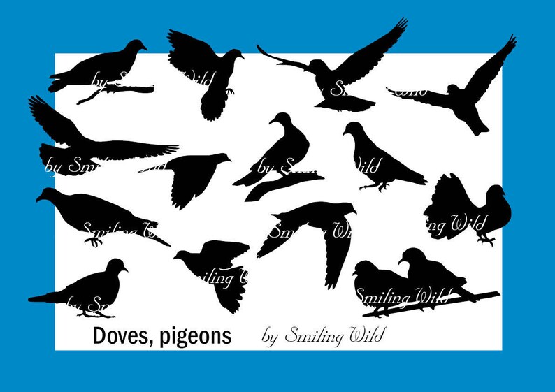 dove silhouette pigeon svg vector clipart chicken png dove artwork print printable hen marriage birds obtain hen mother nature silhouettes dove png artwork photo relating to Printable Hawk Silhouette for Window referred to as dove silhouette pigeon svg vector clipart chook png dove artwork print printable chook wedding day birds down load chicken mother nature silhouettes dove png artwork