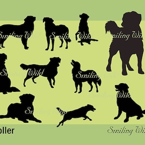 Silhueta de cachorro Toller para impressão svg, gráfico vetorial, Nova Scotia Duck Tolling Retriever, download próprio, uso comercial, corte digital