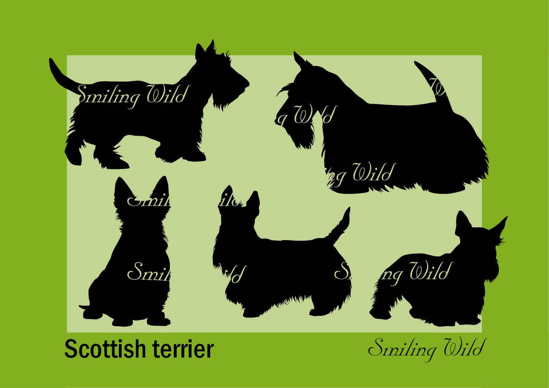 Scottish Terrier Printable Svg Png Silhouette Vector Graphic File ...