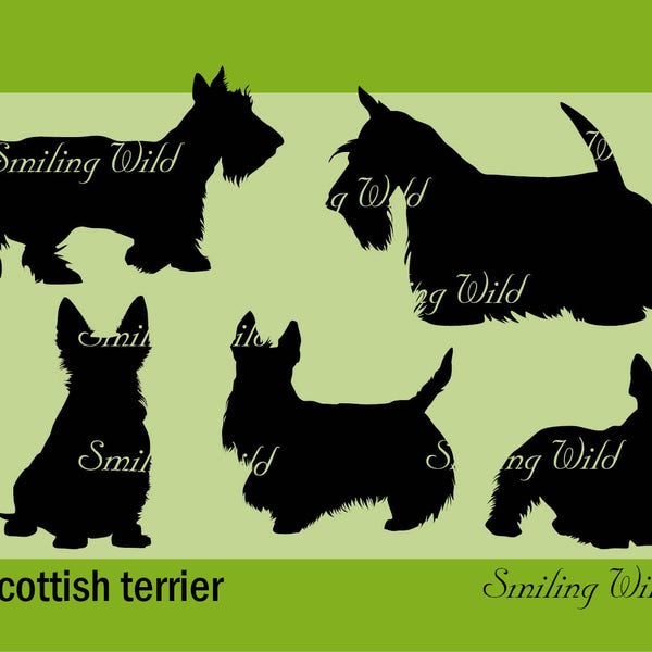 Scottish Terrier - Etsy