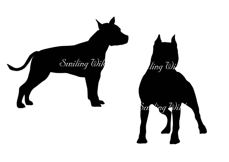 Free Free American Staffordshire Terrier Svg 256 SVG PNG EPS DXF File