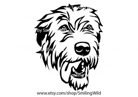 Black wolfhound dog 2025