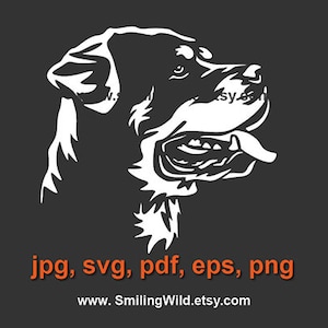 Rottweiler dog svg vector art /bmc02/ Rottweiler clipart portrait laser Cut in White print on black t shirt design Rottweiler cuttable
