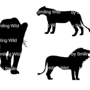 May include: Black silhouette illustrations of a lioness, a lion, and a lioness walking. The text "Smiling Wild" and "by Smiling Wild" are visible in the image.