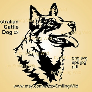 Australian Cattle Dog (03) logo ritratto vettoriale grafica arte blue heeler svg cliprat file di taglio design tagliabile