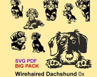 Wirehaired Dachshund SVG Bundle: Laser Cut Clipart, Decal Graphics (Digital Download