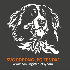 Berner Sennenhund SVG PNG DXF | Digital Cut Datei Hund weiß Clipart für Cricut Vektor Porträt | individuelles Logo Design