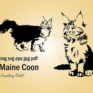Maine Coon art design svg png vecteur graphique clipart maine coon chat imprimable silhouette découpe Téléchargement instantané utilisation commerciale