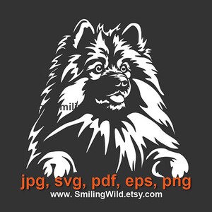 Keeshond svg witte vector portret hond Graveerbare kunst, wolfspitz gesneden bestand svg clipart, keeshond png cricut digitaal ontwerp