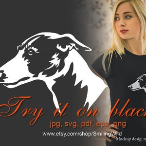Whippet hond hoofd svg & png portret, Whippet Graveerbare digitale illustraties, Whippet vector grafisch ontwerp, bestand knippen