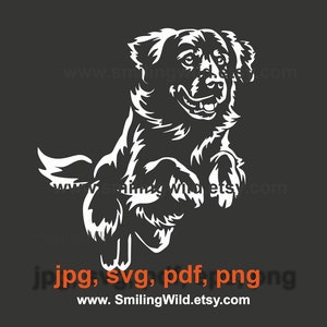 Golden retriever svg en png-illustraties springen hond vector grafische kunst golden retriever gesneden bestand Graveerbare t-shirtontwerp