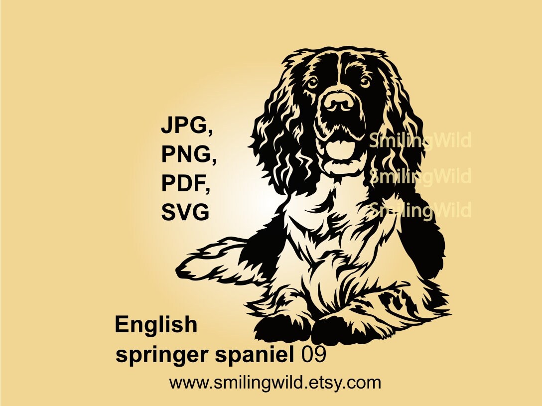English Springer Spaniel SVG & PNG clipart vector portrait - hunting dog graphic design - canine laser cutting, Cricut, Silhouette Crafts
