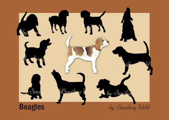 cucciolo di beagle grafico di peso cucciolo di beagle grafico di peso