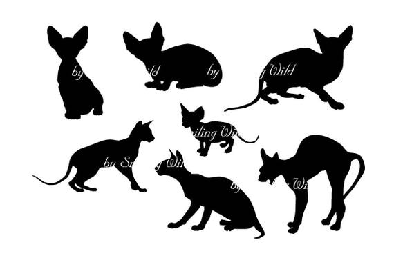 Download Sphynx Cat Svg Silhouette Cut File Cuttable Clipart Vector Etsy