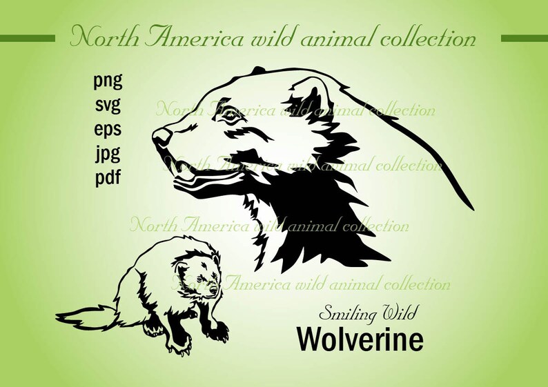 Download Wild animal svg wolverine clipart vector graphic art png eps | Etsy