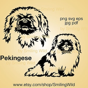 Pekinees hond svg gluren gesneden bestand Graveerbare pekinees hond clipart vectorafbeelding portret hoofd illustraties png digitaal ontwerp afdrukbaar