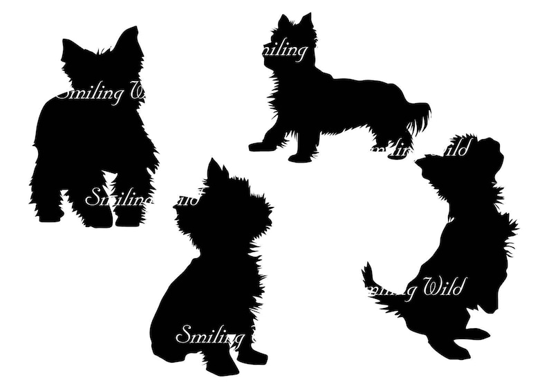 Download Yorkshire terrier svg yorkie silhouette cut file yorkshire | Etsy