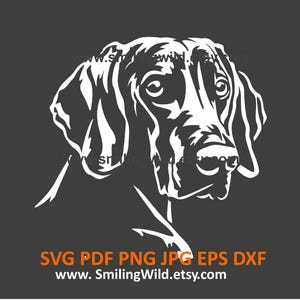 Weimaraner SVG, PNG, DXF: perro de caza realista, diseño vectorial canino blanco - Proyectos de Cricut y corte láser - Descarga instantánea