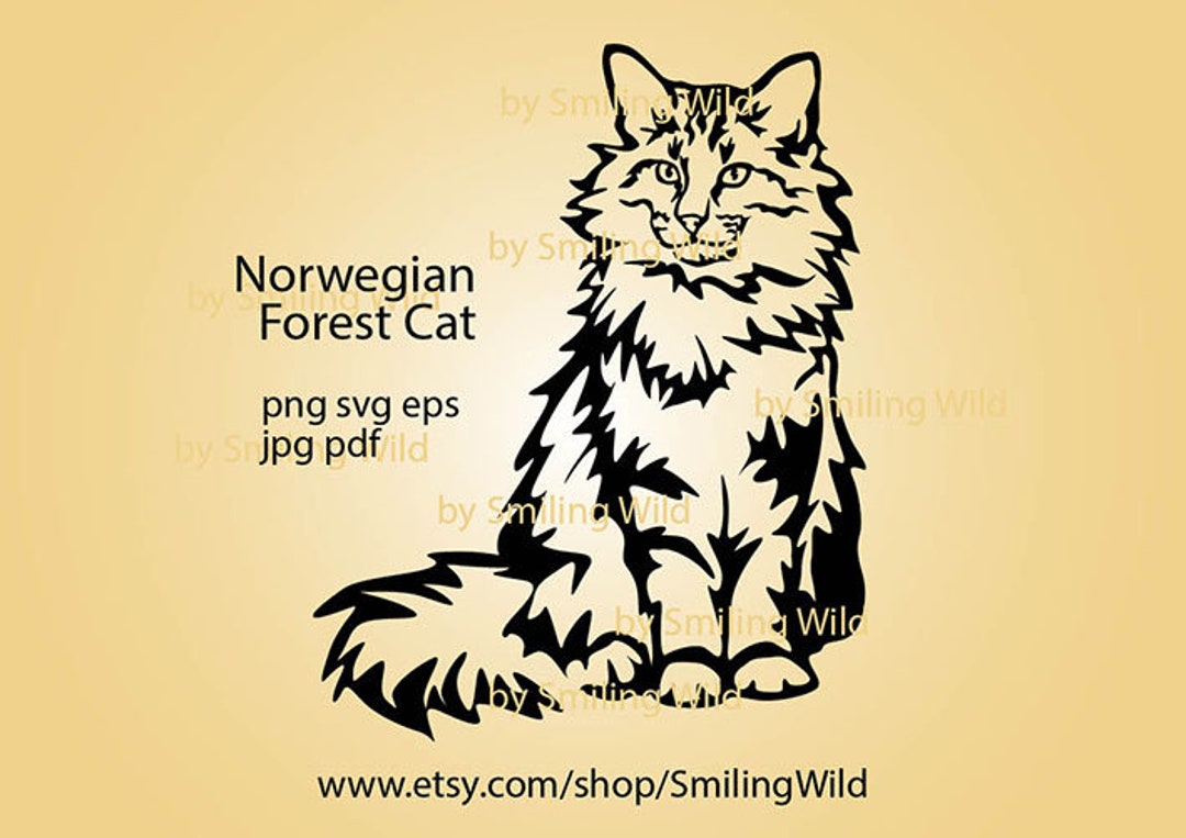 Buy Norwegian Forest Cat Svg Clipart Vector Graphic Art Norwegian Forest  Cat Cut File Cuttable Digital Design Animal Clipart Svg Online in India 