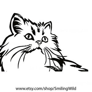 Cute Persian /03/ Cat svg laser cut file persian cat vector graphic art artwork clipart persian cuttable cricut digital design image 3