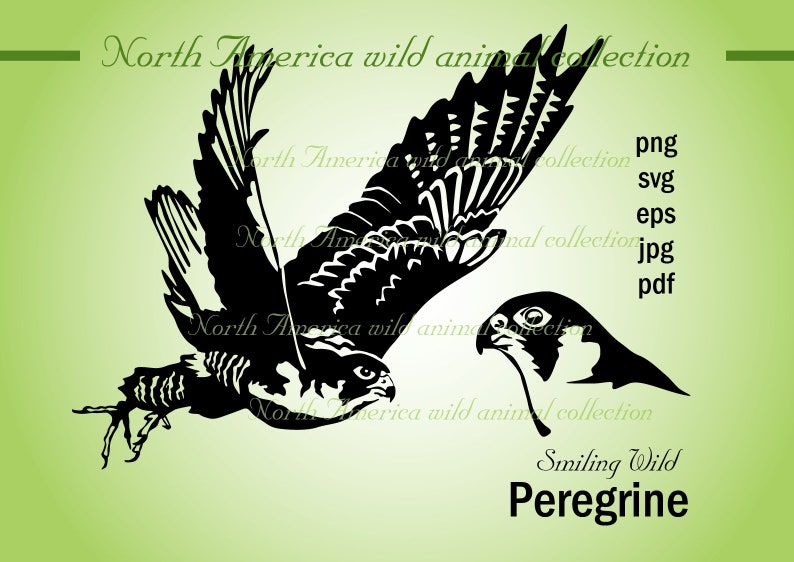 peregrine falcon svg clipart vector image artwork duck hawk artwork art reduce history cuttable printable png portrait image regarding Printable Hawk Silhouette for Window named peregrine falcon svg clipart vector impression artwork duck hawk artwork art minimize document cuttable printable png portrait
