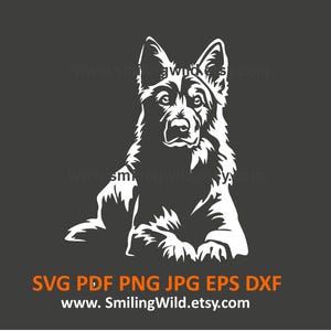 Zwitserse witte herder SVG PNG DXF hoofd – realistische hond honden clipart voor Cricut, silhouet en lasergesneden – direct downloaden