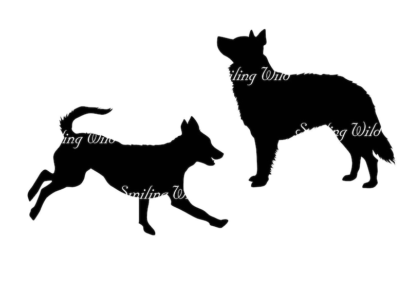 mudi dog svg silhouette running dog clipart printable vector graphic art hungarian mudi instant download png file commercial use digital