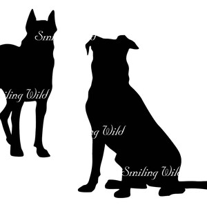 May include: Silhouette of two dogs, one standing and one sitting. The standing dog is facing the left side of the image, while the sitting dog is facing the right side of the image. Both dogs are black.