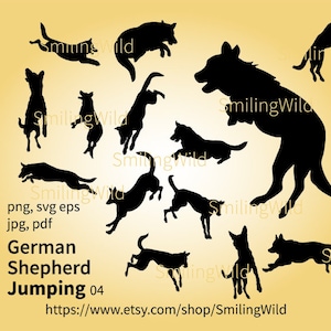 Deutscher Schäferhund svg & png Sihlouette Bundle, Trainingshund Clip Art, Laser schneidbares Vektor digitales Design