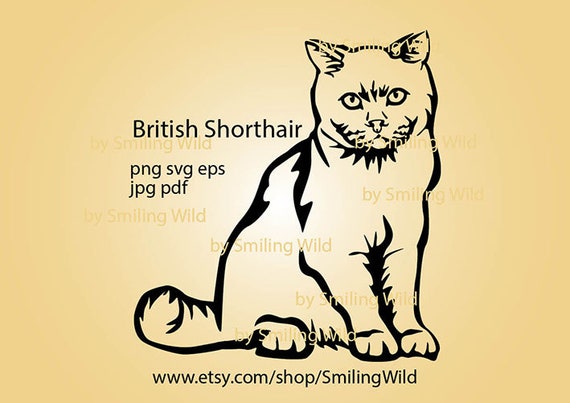 British Shorthair Svg Portrait Cat Head Svg Clipart British - Etsy British Shorthair Svg Portrait Cat Head Svg Clipart British - Etsy