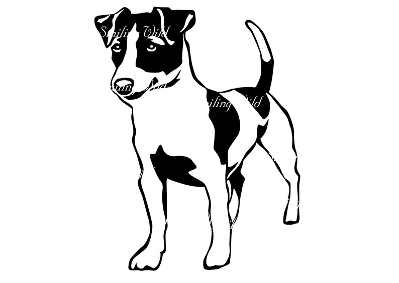 Jack Russell Terrier Svg Clipart Vector Graphic Art Jack - Etsy