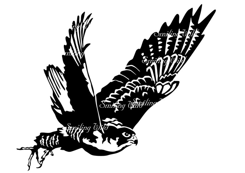 Download Peregrine falcon svg clipart vector graphic art duck hawk ...