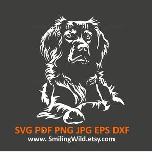 Liggende Bretagne-spaniël SVG PNG DXF, realistische hond Canine clipart, full body ontwerp voor Cricut, silhouet en lasergesneden, Instant Download