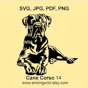 Cane Corso-hond SVG & PNG-clipart liegen vectorportret - realistische zwarte hondenras hondenafbeeldingen lasergesneden bestanden - Cricut, silhouet